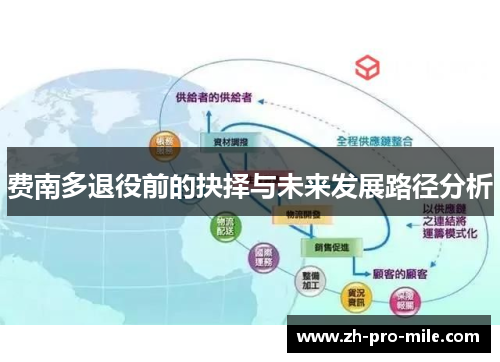 费南多退役前的抉择与未来发展路径分析