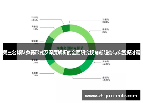 第三名球队参赛形式及深度解析的全面研究视角新趋势与实践探讨篇