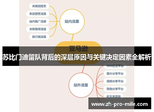 苏比门迪留队背后的深层原因与关键决定因素全解析