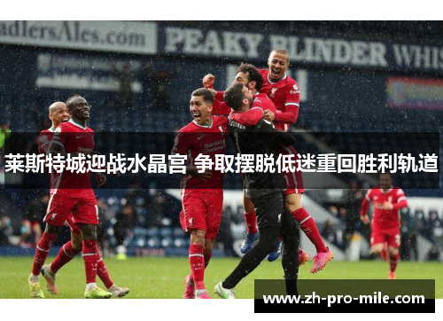 莱斯特城迎战水晶宫 争取摆脱低迷重回胜利轨道