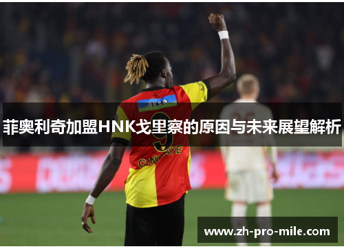 菲奥利奇加盟HNK戈里察的原因与未来展望解析 菲奥利奇加盟HNK戈里察的原因与未来展望解析