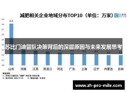 苏比门迪留队决策背后的深层原因与未来发展思考