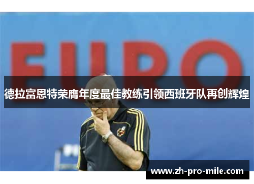 德拉富恩特荣膺年度最佳教练引领西班牙队再创辉煌